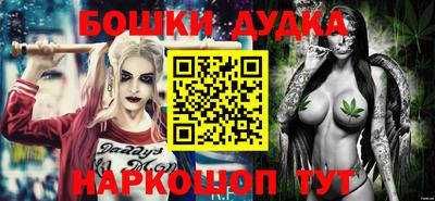сатива Новозыбков