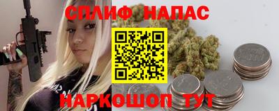 сатива Новозыбков