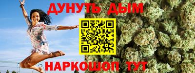 сатива Новозыбков