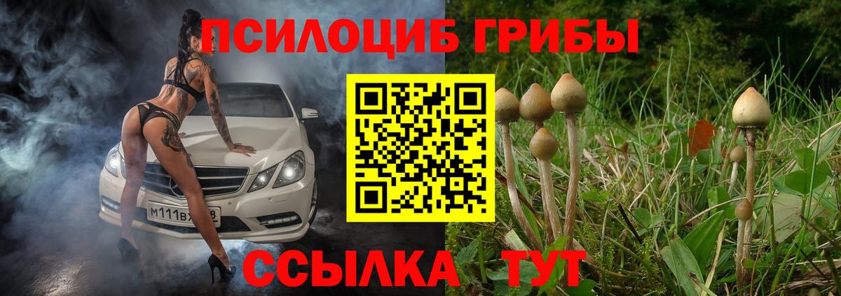 Галлюциногенные грибы Psilocybine cubensis Тара